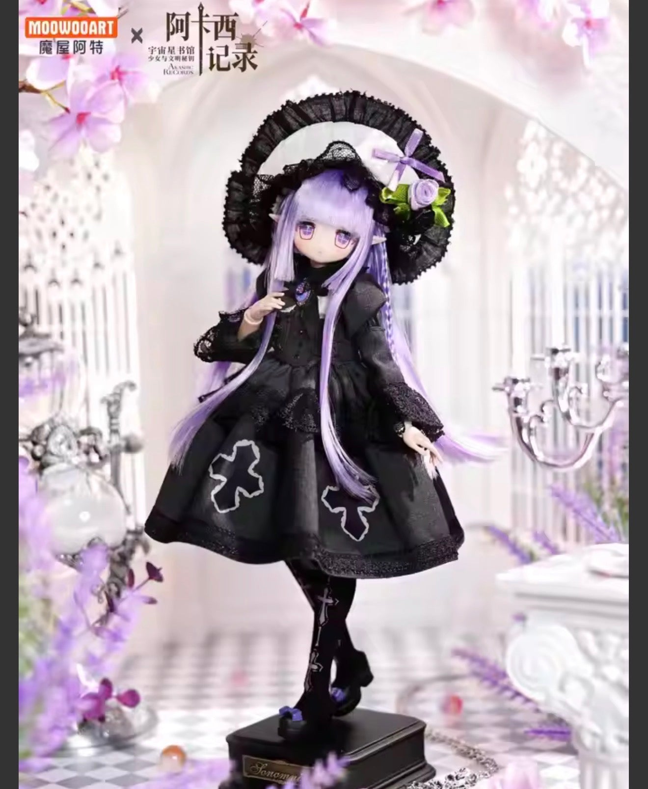 Bjd  AKASTIIC RECORDS 1/6