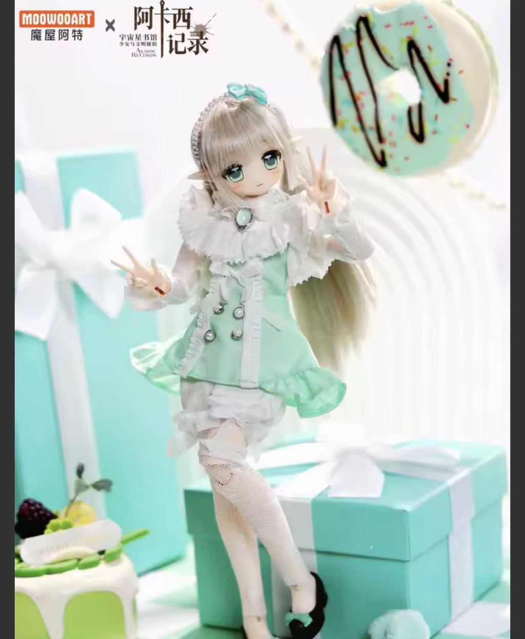Bjd  AKASTIIC RECORDS 1/6
