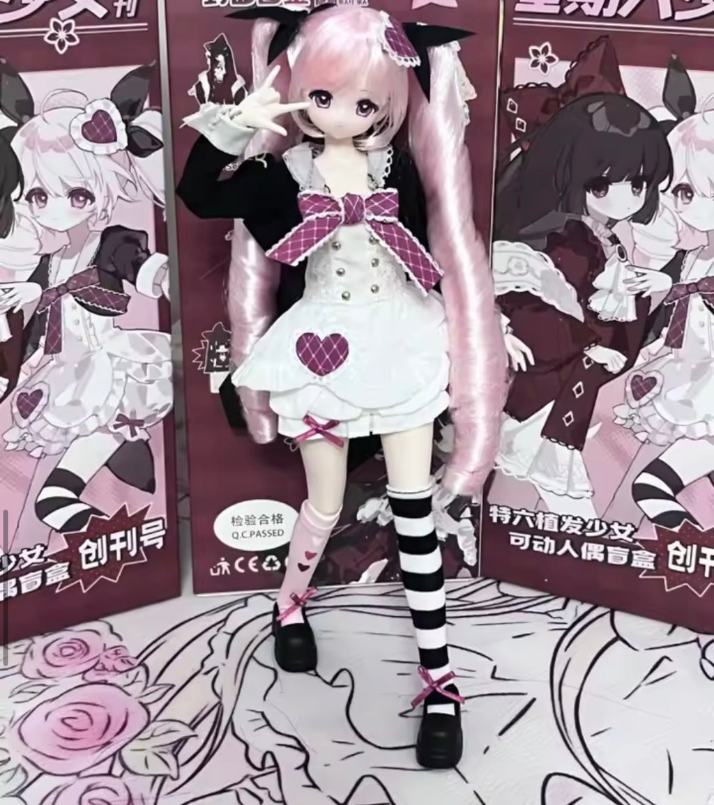 BJD 1/6